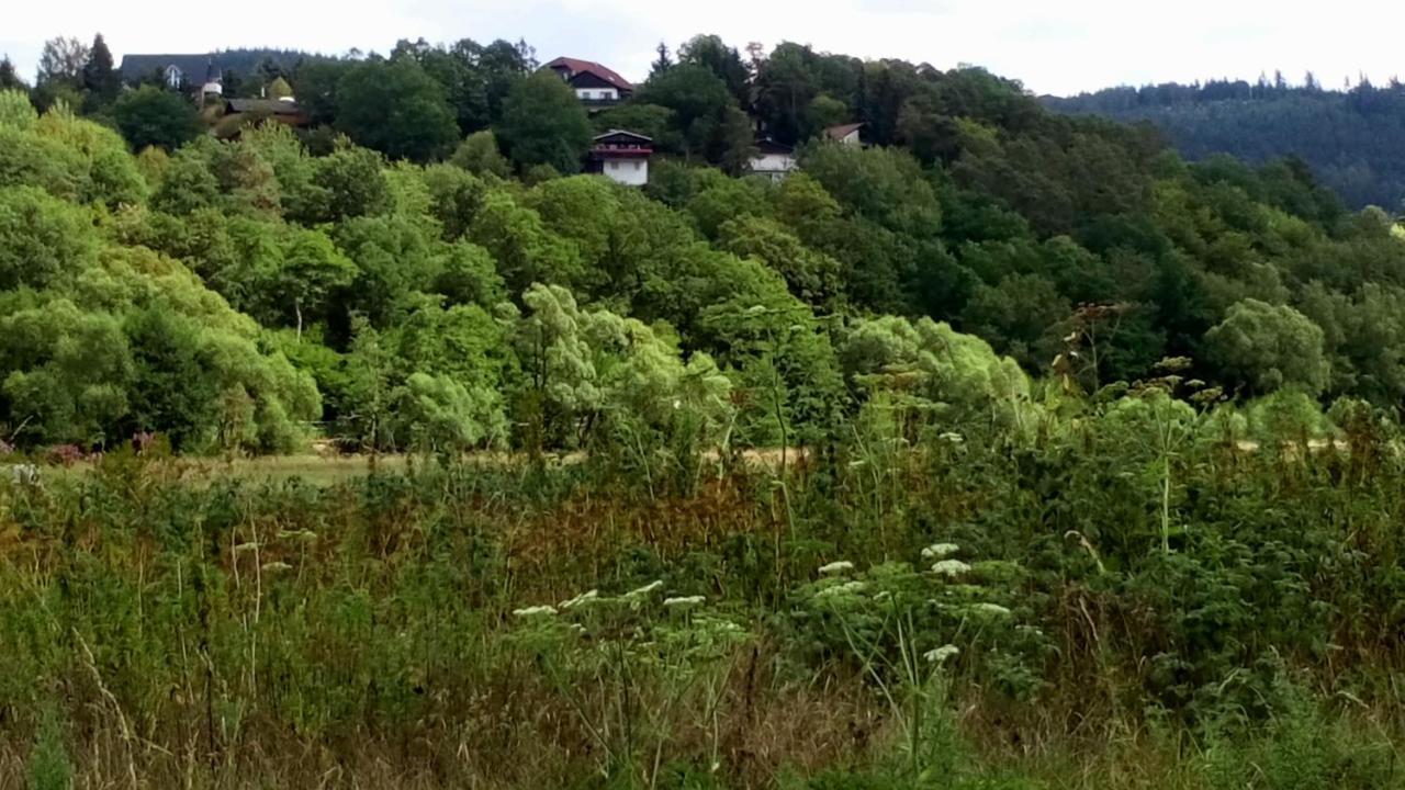 Ferienhaus Im Ederbergland Villa Hatzfeld ภายนอก รูปภาพ